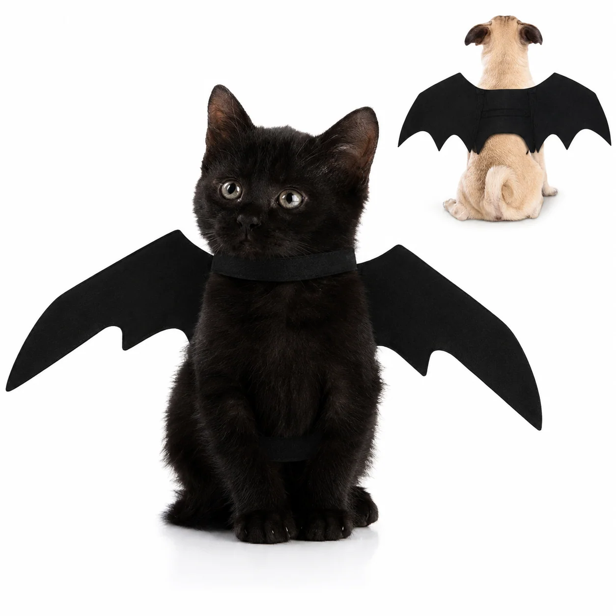 Halloween Accessories Bat Wings Pet Costume - Image 3
